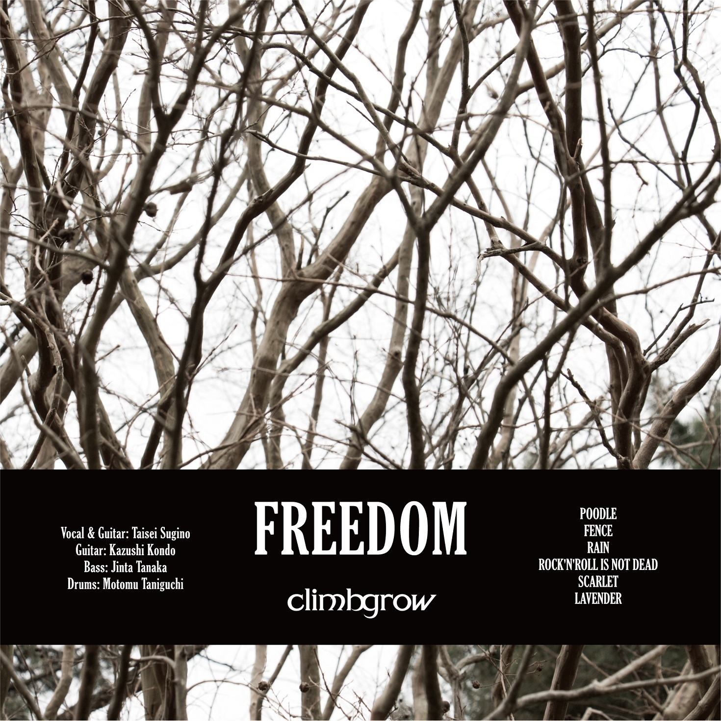 climbgrow『FREEDOM』