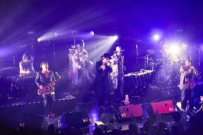 野田洋次郎とのライブ初共演も実現、バンドの最新形を見せたSOIL＆“PIMP”SESSIONS『晩秋のハリネズミ』東京公演