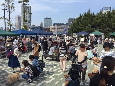 愛犬家さん集合！豊洲で開催の“犬フェス”とは？