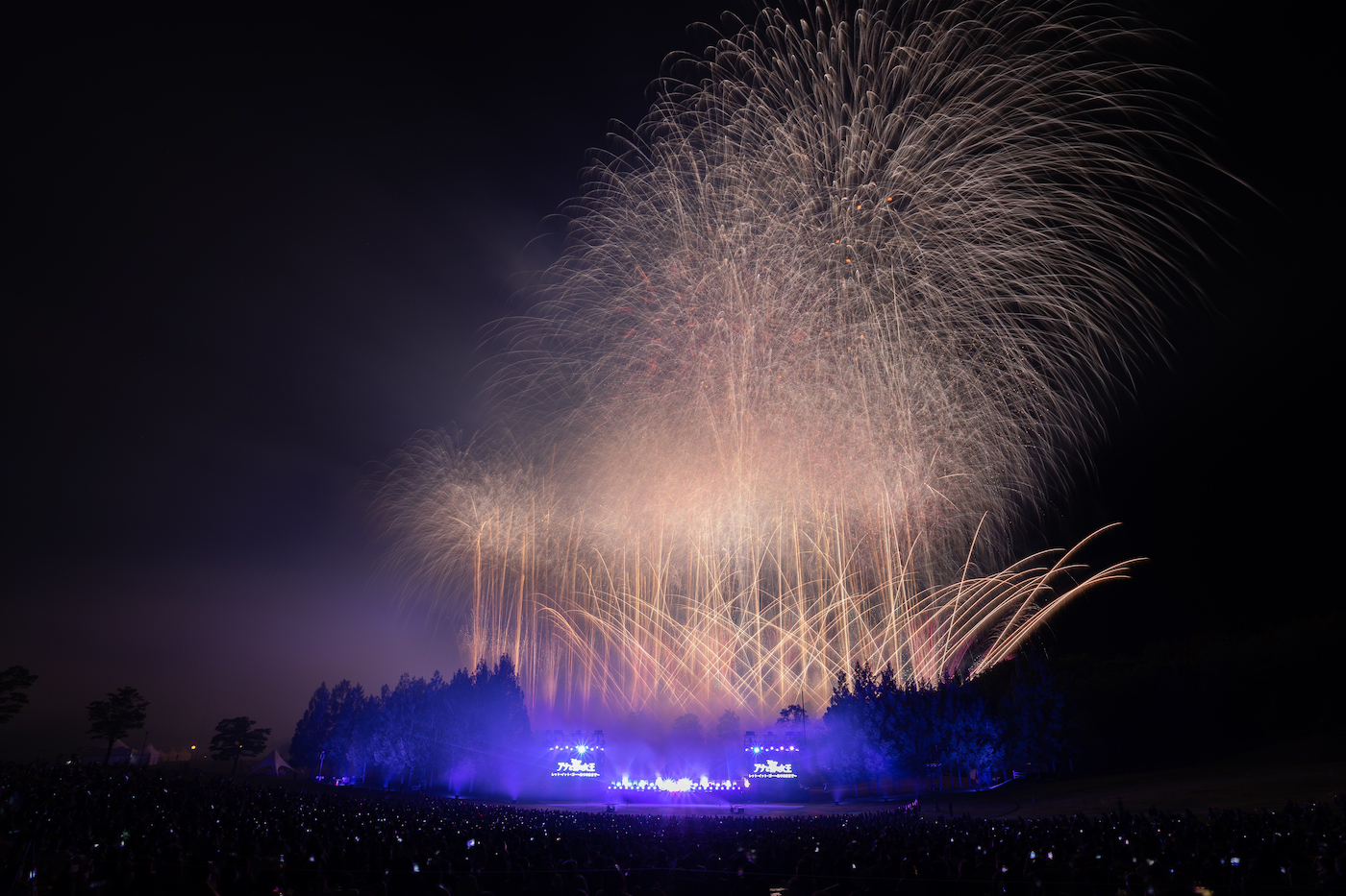 『Disney Music & Fireworks』Photo by YUKI SHINOHARA
