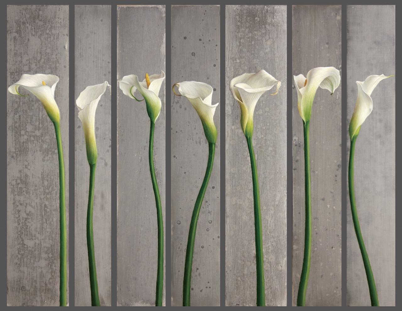 Seven Calla Lilies