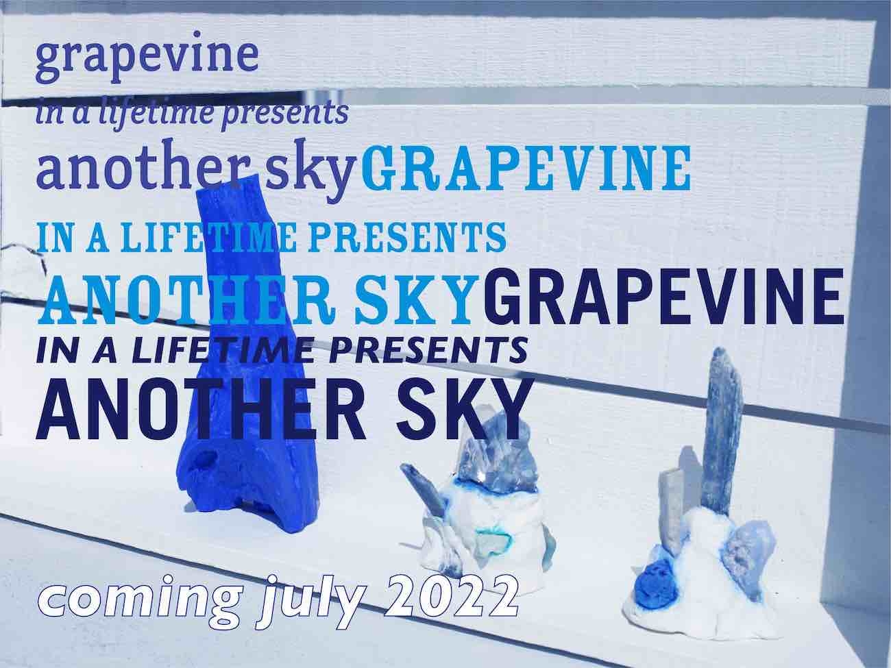 『grapevine in a lifetime presents another sky』