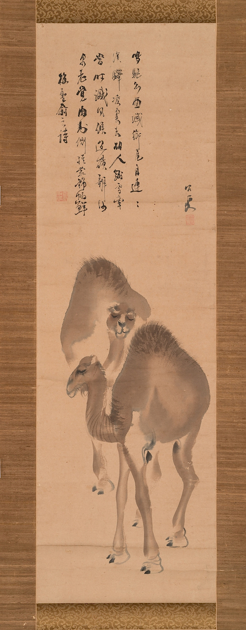 上田公長《双駱駝図》個人蔵 　江戸時代に日本にやってきたラクダを描いた作品。初めてみる異国の珍獣にみんな興味津々だったようで、特徴をよく捉えている。長いまつ毛がチャーミング