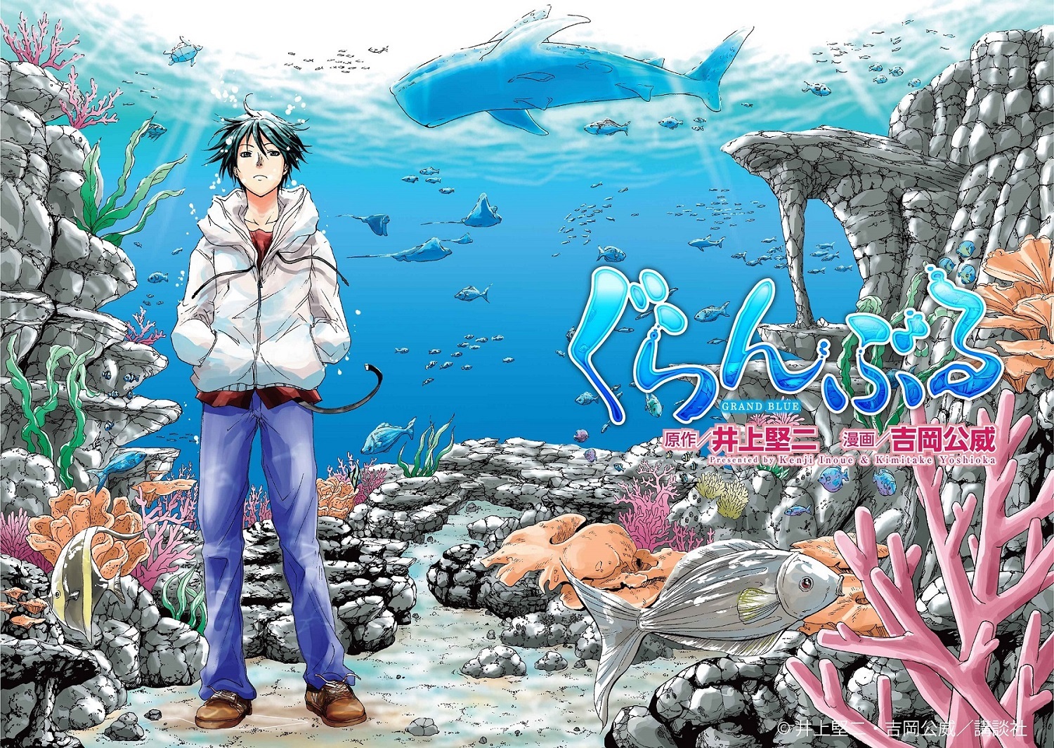 漫画『ぐらんぶる』 （C）井上堅二・吉岡公威／講談社