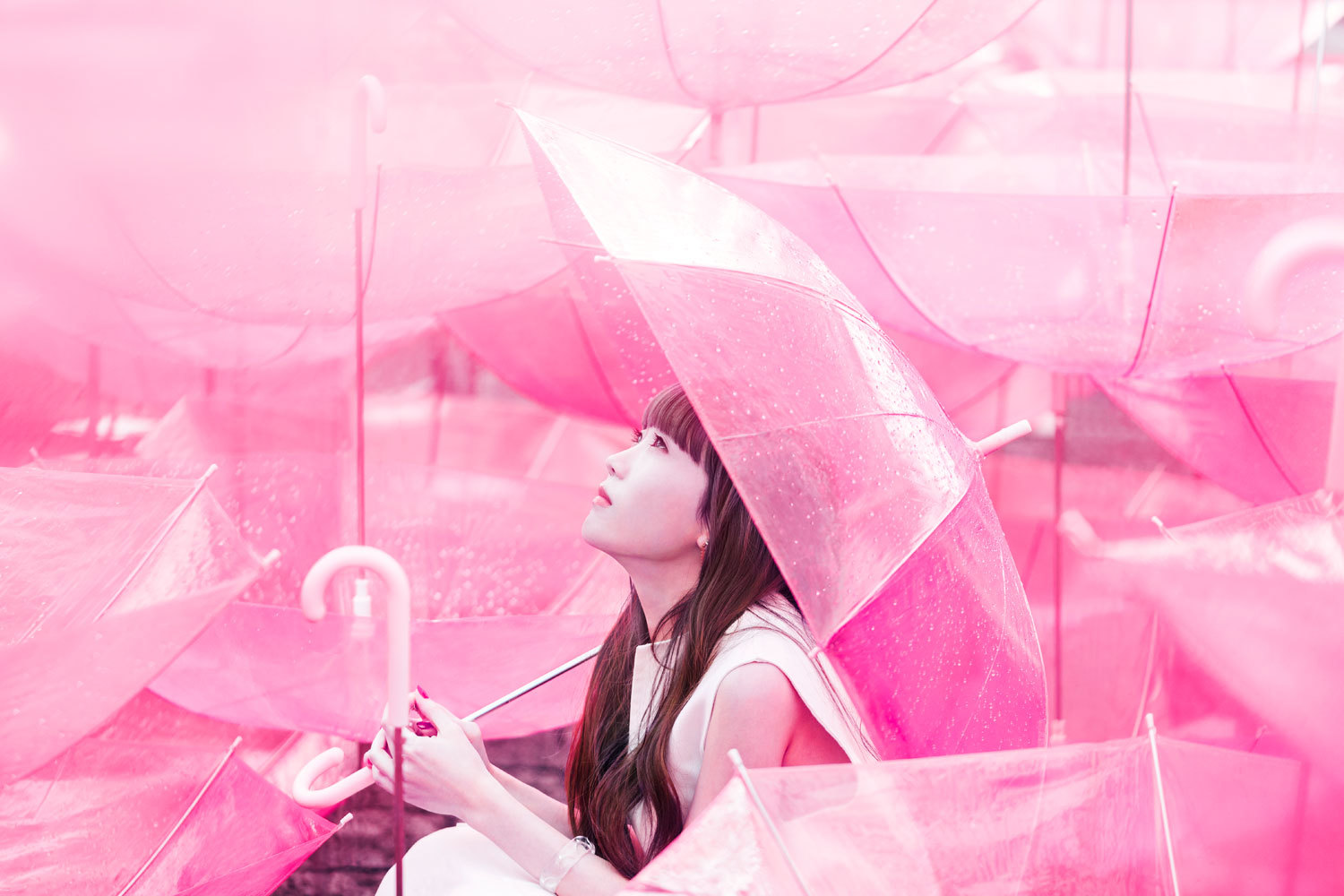 Aimer