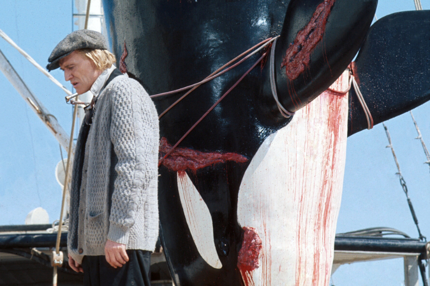 『オルカ』 （C）1977 STUDIOCANAL