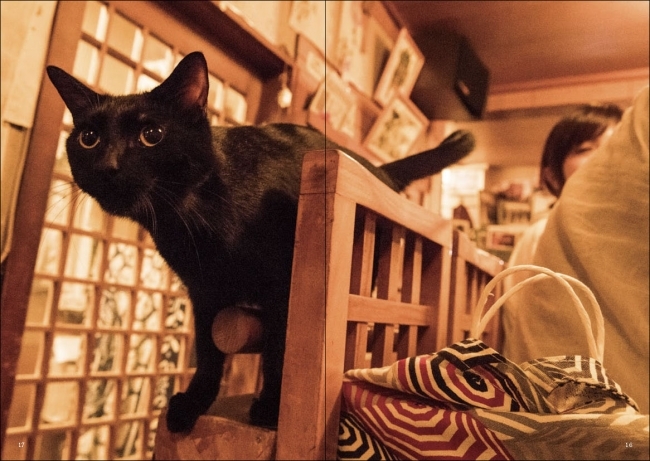 猫と呑み助 東京「猫呑み」のススメ ページサンプル