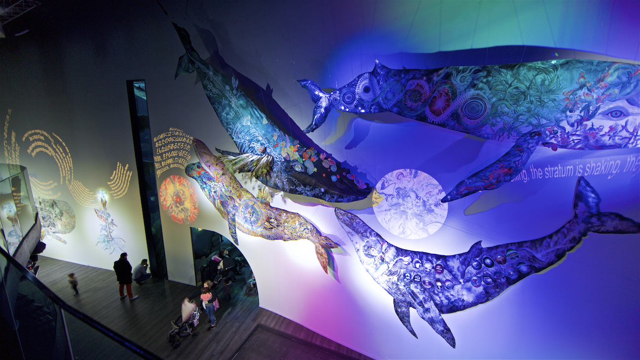 "L’oeil de la Baleine /鯨の目 " パリ・アクアリウム、フランス Aquarium of Paris Cineaqua, Paris, France Year 2019／Photo by Serge Koutchinsky