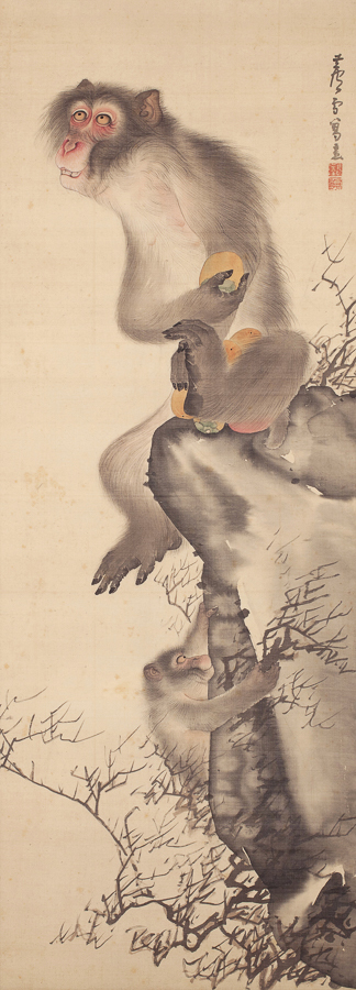 お披露目された、長沢芦雪《猿猴弄柿図》18世紀　個人蔵