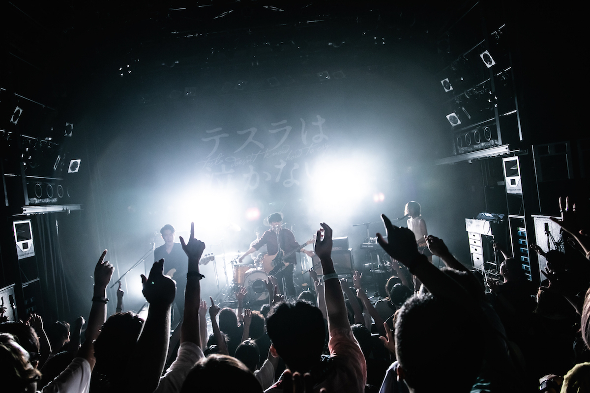 テスラは泣かない。 photo by Atsushi ito