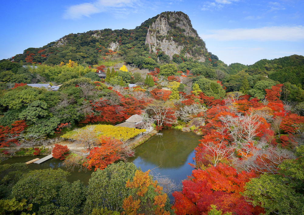 紅葉まつりは12月4日まで。 夜の紅葉ライトアップは日本最大級