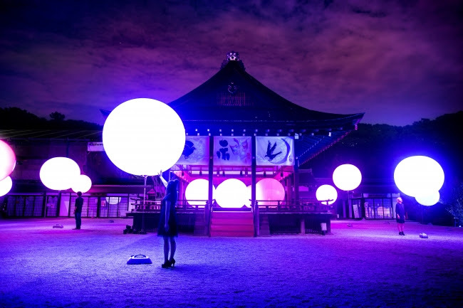 呼応する球体 – 下鴨神社 糺の森 / Resonating Spheres – Forest of Tadasu at Shimogamo Shrine teamLab, 2016, Interactive Installation, Endless, Sound: Hideaki Takahashi