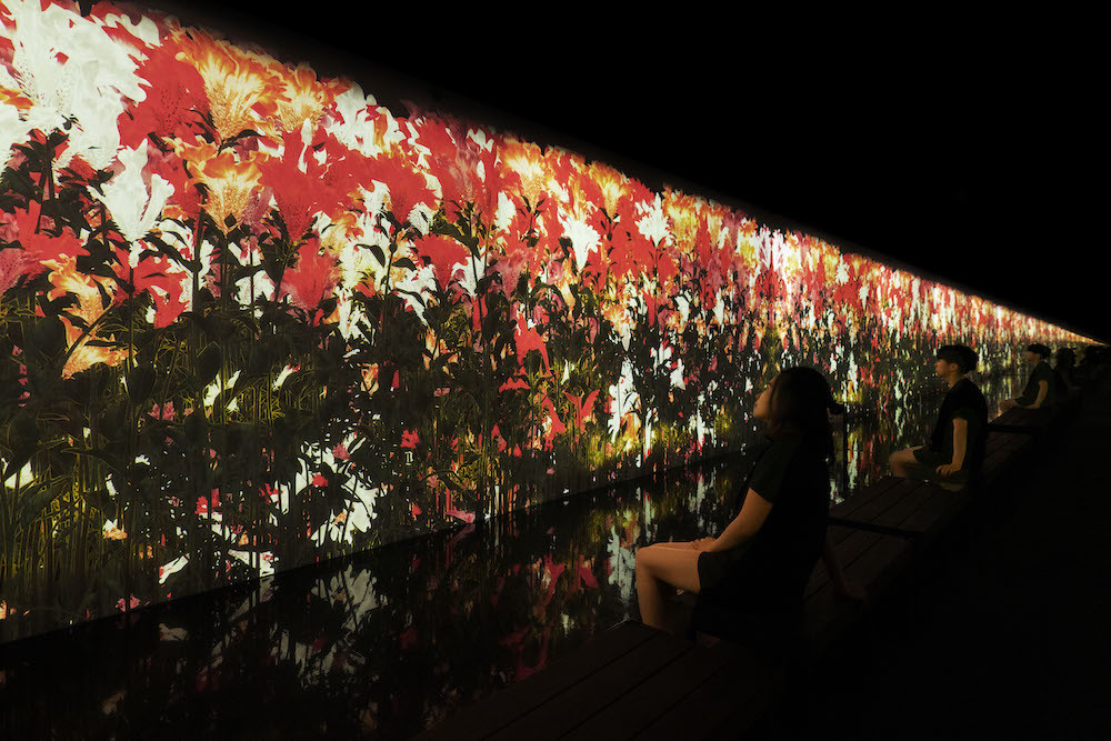 降り注ぐ雨の中で増殖する無量の生命 - A Whole Year per Year / Proliferating Immense Life in the Rain - A Whole Year per Year　 teamLab, 2020, Interactive Digital Installation, Sound: Hideaki Takahashi