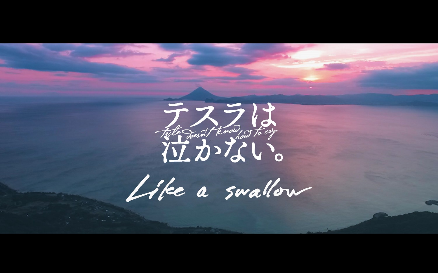 「Like a swallow」MVより