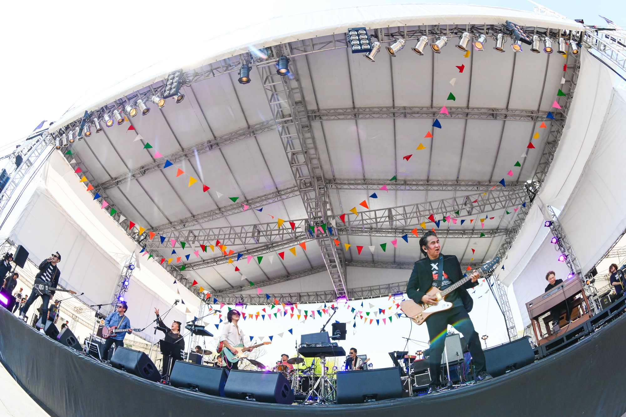 Original Love×GRAPEVINE