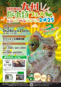 博多で爬虫類・両生類の展示即売イベント『九州爬虫類フェス2025』開催、数千にも及ぶエキゾチックアニマルが並ぶ2日間