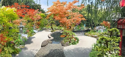 東京お台場 大江戸温泉物語に「足湯庭園」誕生、エリザベス女王に“緑の魔術師”と称された石原和幸が作庭