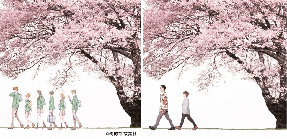 コブクロ　「未来 Spring Package」 　©高野苺/双葉社