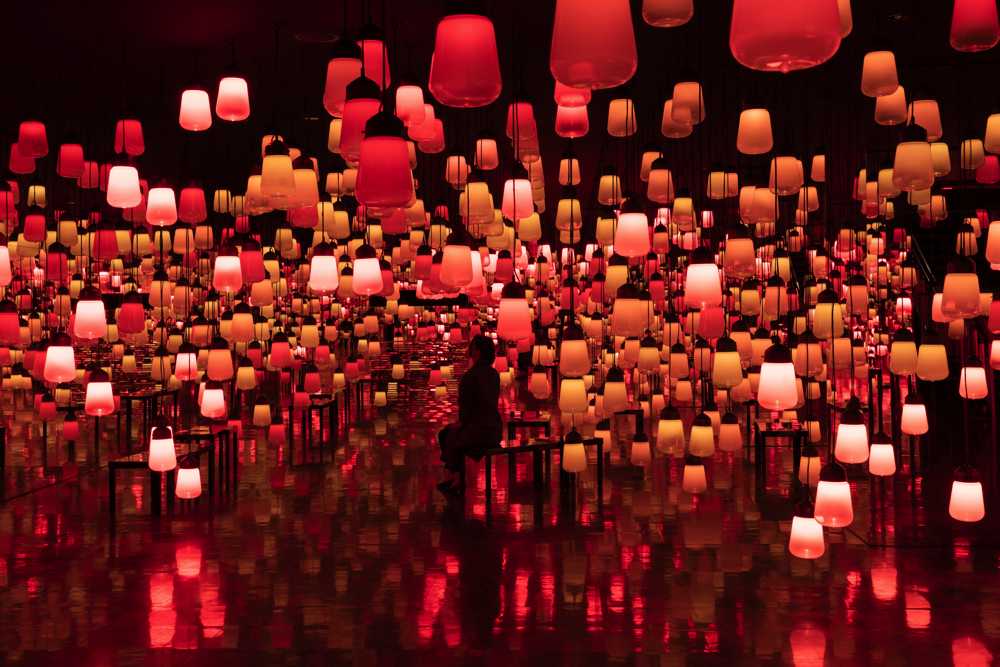 森の中の、 呼応するランプの森とスパイラル - ワンストローク、 山の紅葉 / Forest and Spiral of Resonating Lamps in the Forest - One Stroke,  Autumn Mountain  teamLab, 2018, Interactive Installation, Murano Glass, LED, Endless, Sound: Hideaki Takahashi