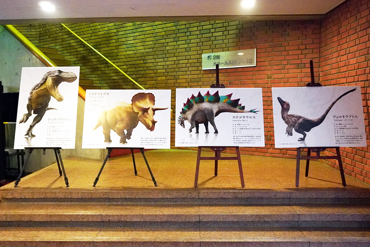 恐竜のパネル展示。