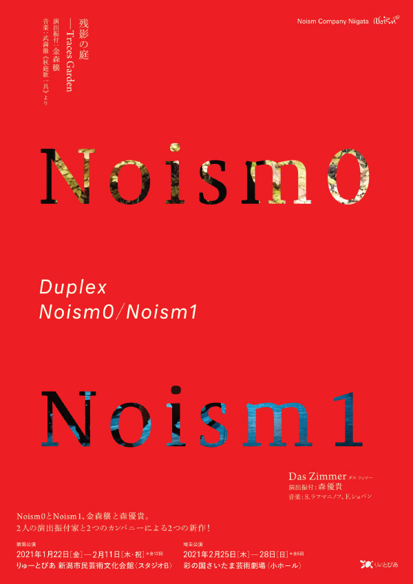 『Duplex』Noism0 / Noism1　フライヤー