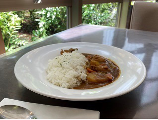 「チキンカレー」