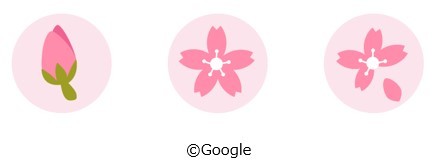 Google マップアプリ（iOS版のみ）のカード上には、 開花前、 満開、 葉桜の3種類のマークを表示