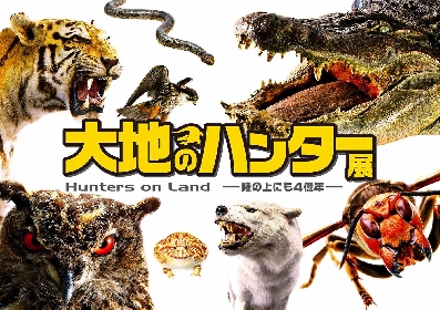 特別展『大地のハンター展 〜陸の上にも4億年〜』ワニやヘビ、ネコ科、フクロウ、昆虫類など捕食者の標本が大阪に集結