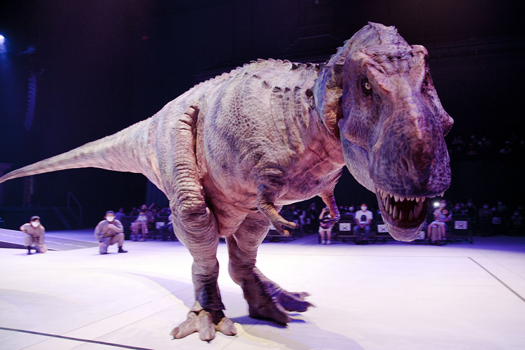 ティラノサウルス。巨大な体躯と、軽自動車も噛み潰せるパワーが特徴。