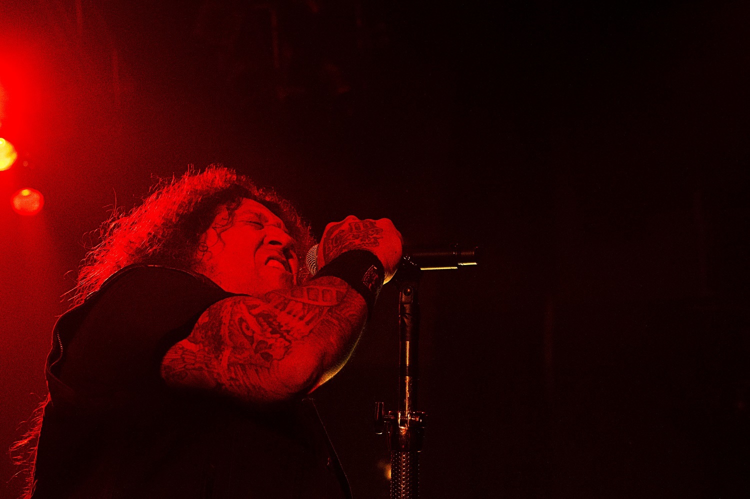 TESTAMENT 写真: Mikio Ariga 協力：Ward Records