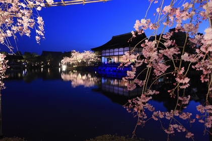 ござ、菊池亮太、石井琢磨らが出演　京都の春を彩る風物詩『紅しだれコンサート』が4年ぶり開催