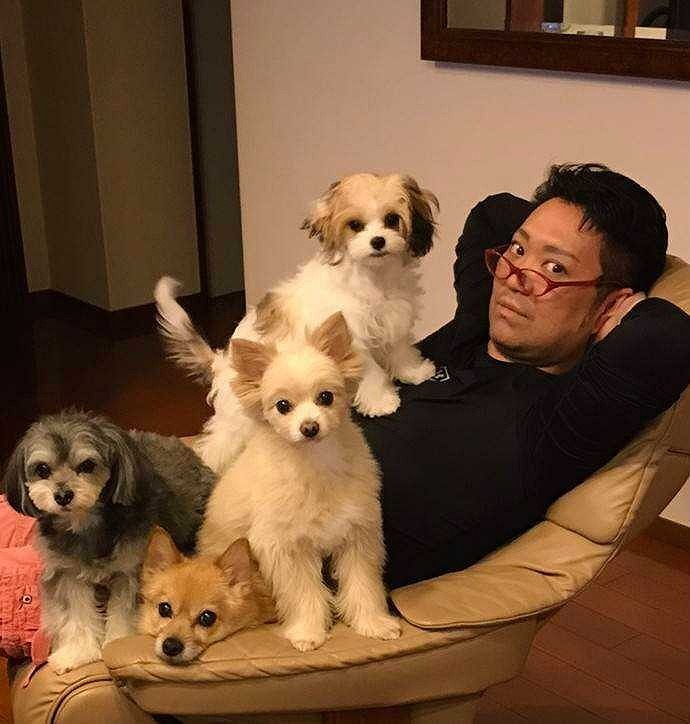 「仕事でうまくいなかったり、腹が立つことがあっても、家に帰って犬を抱いて愚痴を言っていればそれで解消できる。僕の人生に欠かせない子たちですね」と尾上松緑が語る愛犬たち。（写真左）から紅煉、まめ蔵、まる子。お腹の上にいるのは最近やってきた末っ子のミ―