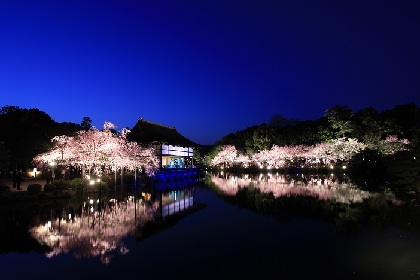 京都・平安神宮にて今年も開催『平安神宮 紅しだれコンサート』平成最後の調べを艶やかに奏でるコンサート