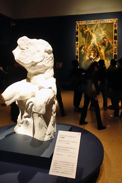 《ベルヴェデーレのトルソ（石膏像）》ローマ、ラ・サピエンツァ大学古典美術館