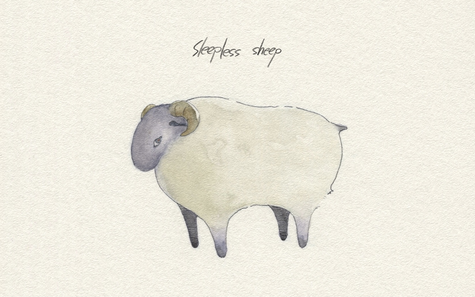 Sleeplees Sheep