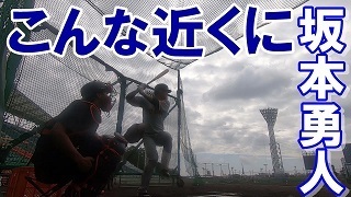 宮崎や那覇だけでなく、一軍S班による東京ドームでのキャンプ映像も配信する