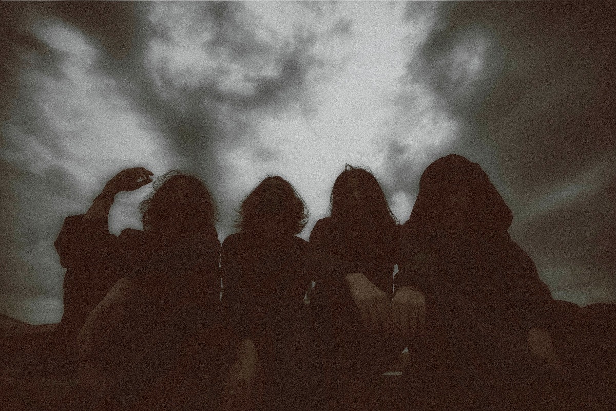 THE NOVEMBERS