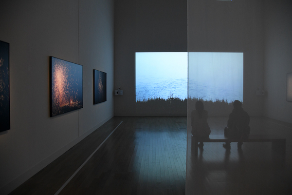 「花鳥画×川内倫子」の展示風景。川内の映像作品も上映されている