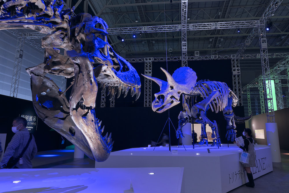 『DinoScience 恐竜科学博 2021＠YOKOHAMA』の様子