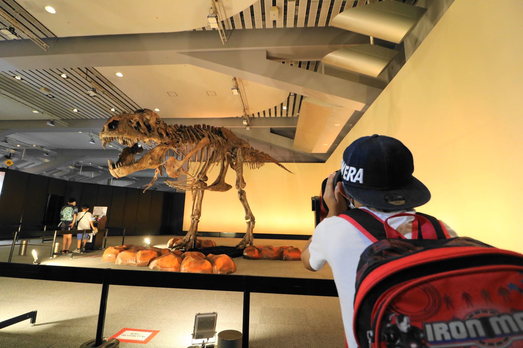 VR双眼鏡で迫力満点、実物大のティラノサウルスの骨格標本