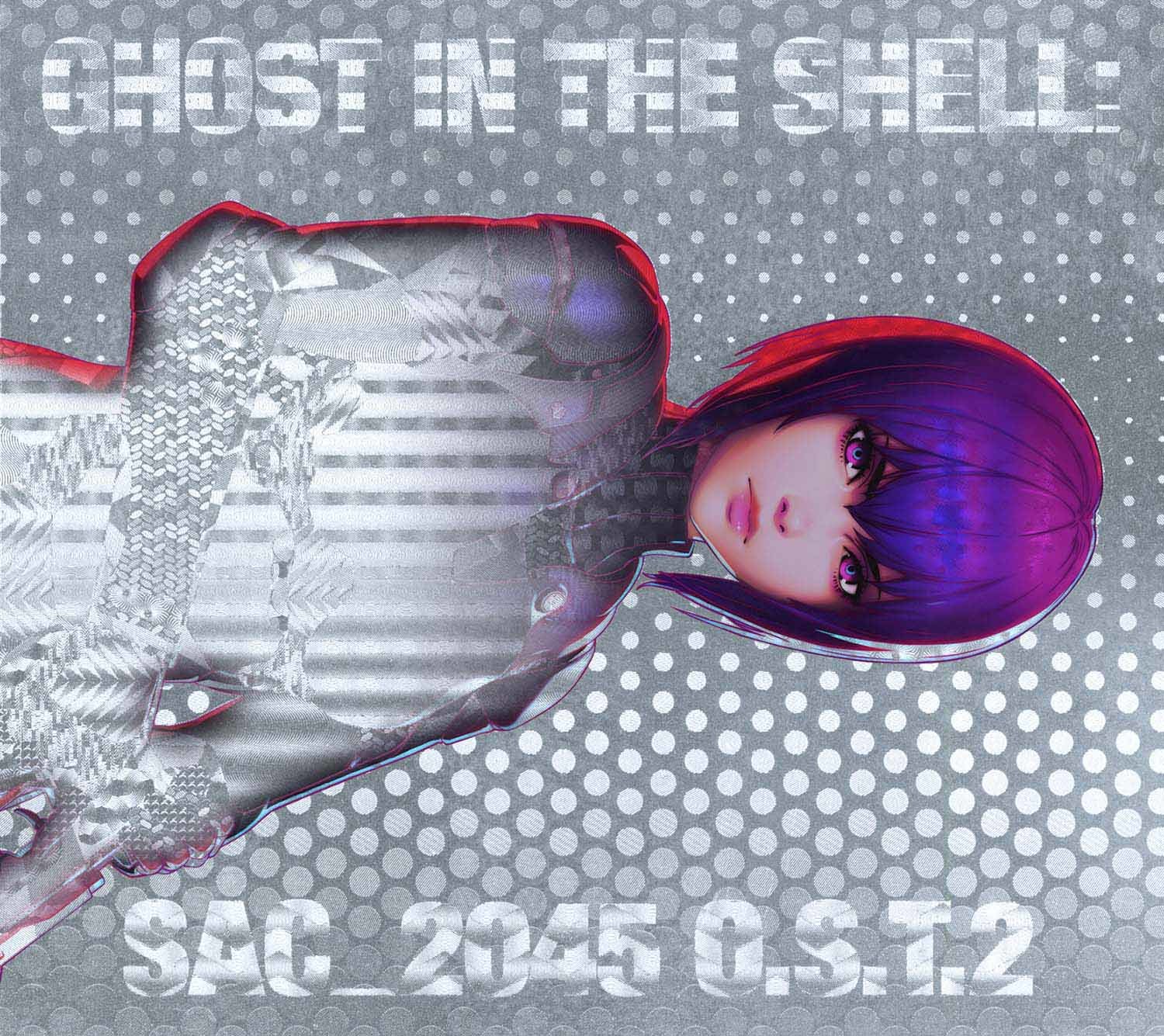 極美盤☆特別限定☆攻殻機動隊☆GHOST IN THE SHELL☆プレステ - その他