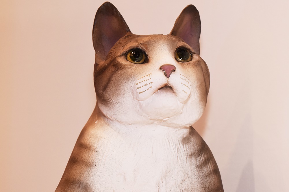 愛らしい猫の写真 アートに心癒される ねこがかわいいだけ展 開幕 Spice エンタメ特化型情報メディア スパイス