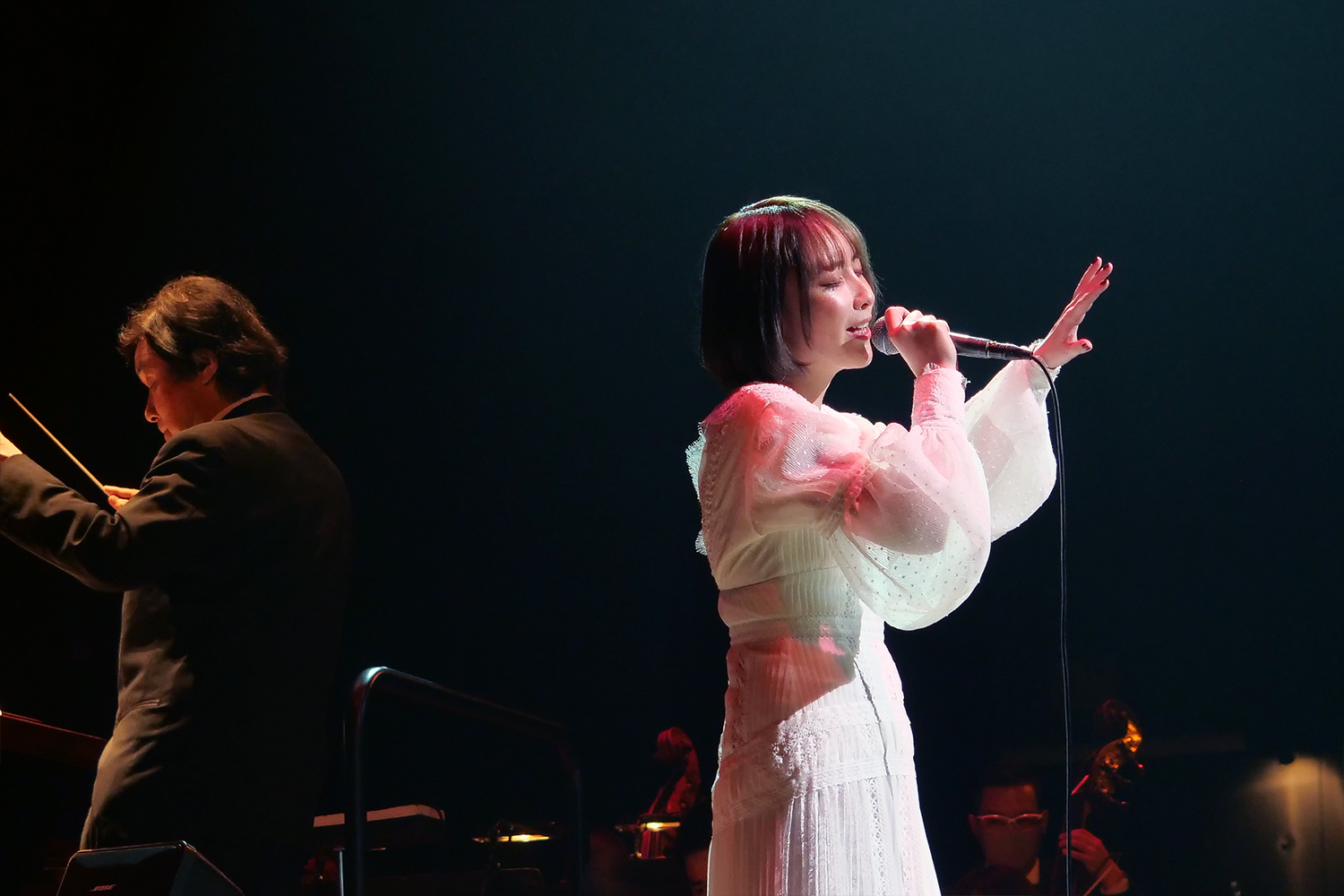 リリース直後の「鼓動」も大胆アレンジ 藍井エイル初となる管弦楽コンサート『Eir Aoi Premium Orchestra Live』レポート |  SPICE - エンタメ特化型情報メディア スパイス