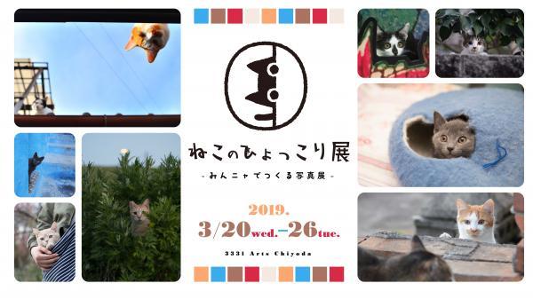 写真展『ねこのひょっこり展』がアーツ千代田 3331で開催 人気猫 