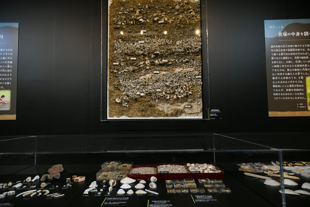 「縄文人と海」の展示風景