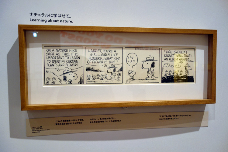 (C) Peanuts Worldwide LLC