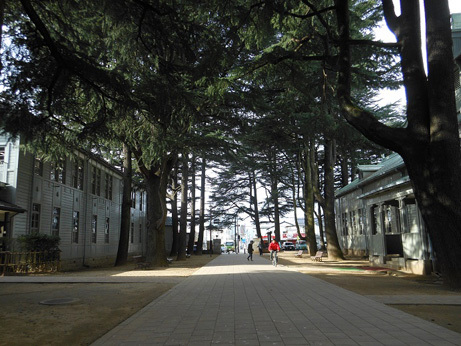 あがたの森公園　実景