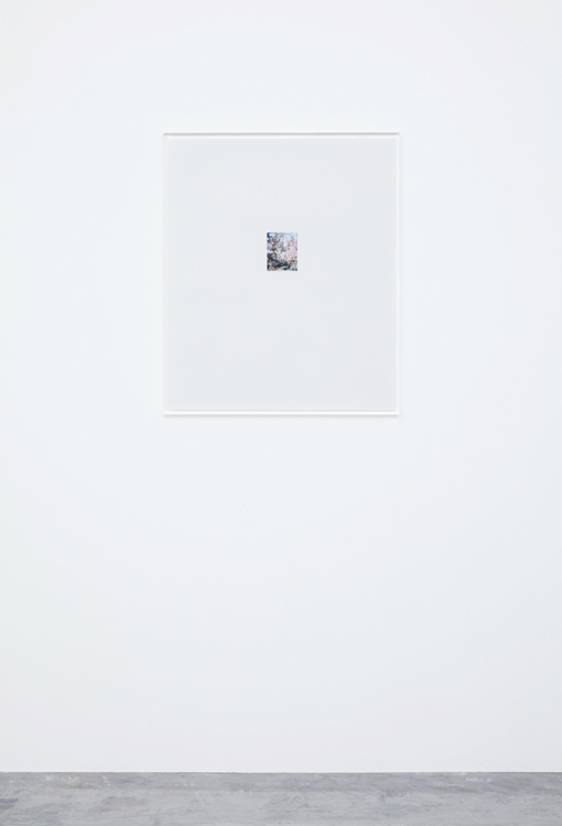 林檎の木 6 2017 c-print, frame: acrylic 63.1 × 52.8 cm ©Yoshihiko Ueda, Courtesy of Tomio Koyama Gallery