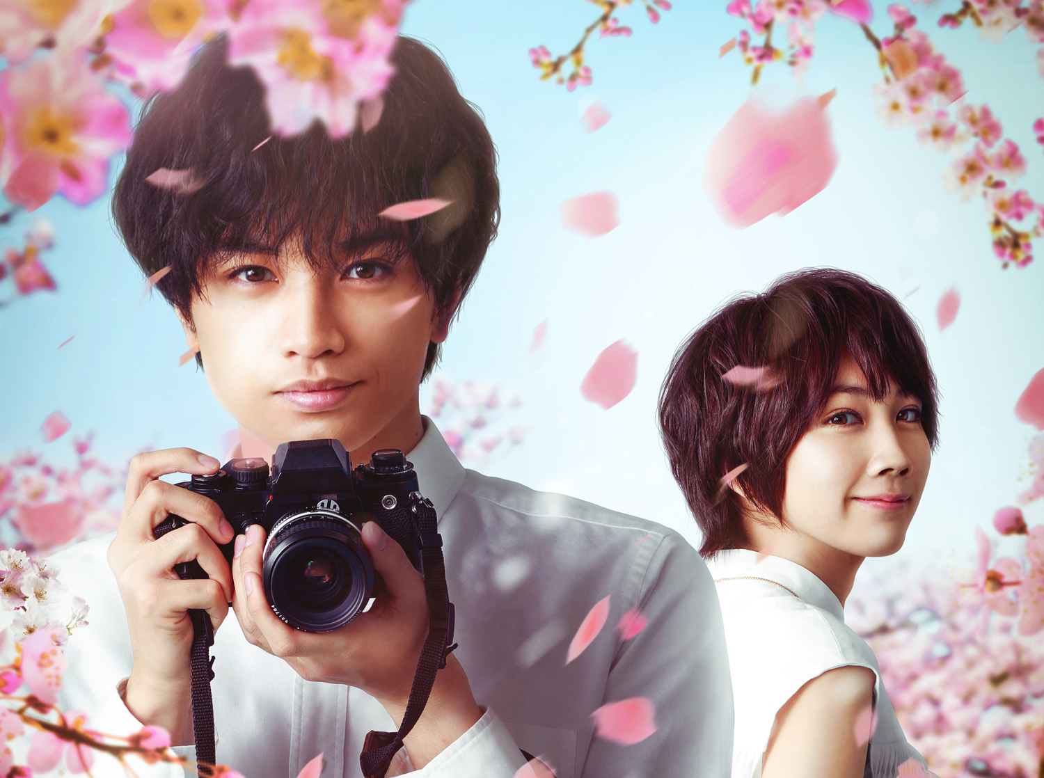 Netflix映画『桜のような僕の恋人』は2022年3月24日（木）Netflixにて全世界独占配信。