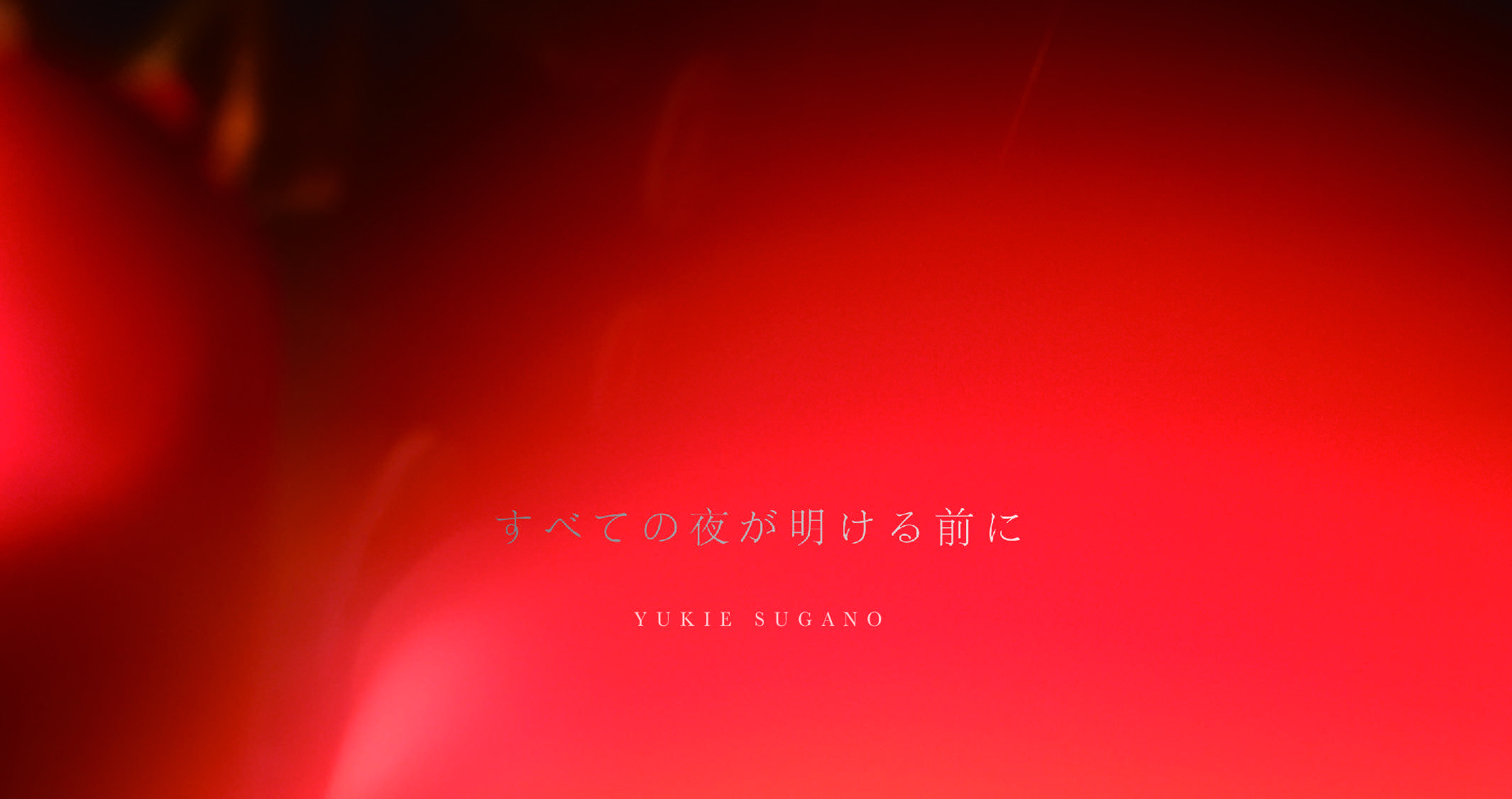 菅野幸恵 個展「すべての夜が明ける前に」